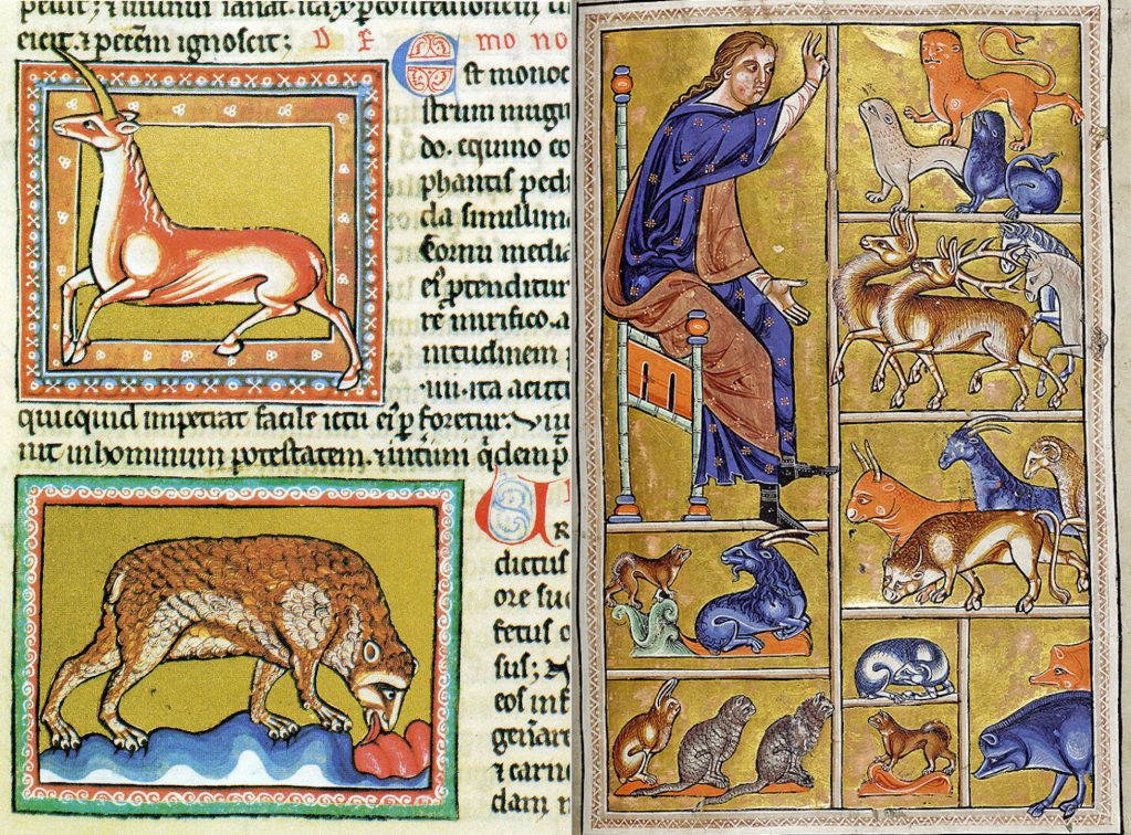 Screen Shot 2018-11-16 at 8.23.17 PM